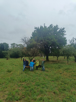 6 Menschen stehen auf einer großen Wiese, halten 2 Obstkisten und winken in die Kamera. Im Hintergrund steht ein großer Baum.