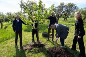 Fünf Personen stehen im Freien und pflanzen einen Baum. Eine Person buddelt mit einer Schaufel in der Erde, während die anderen zuschauen. Im Hintergrund sind weitere Bäume und grünes Gras zu sehen.